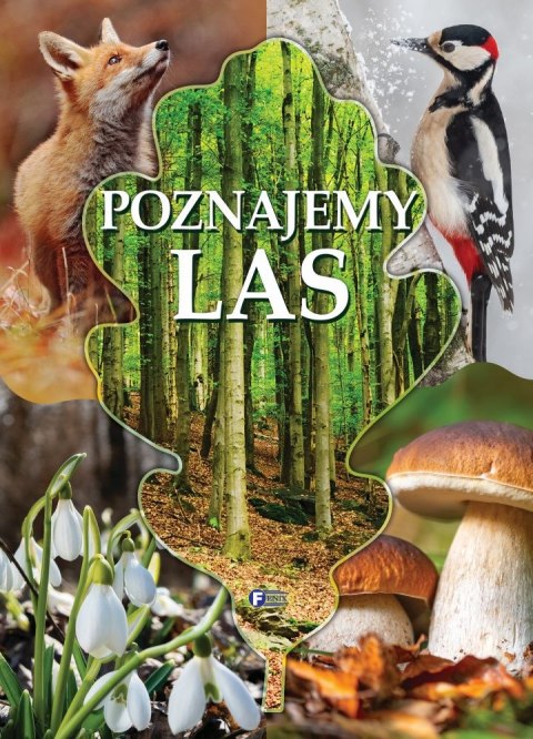 Poznajemy las