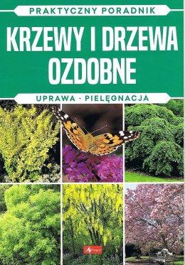 Krzewy i drzewa ozdobne. Uprawa, pielęgnacja. Praktyczny poradnik