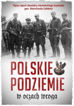 Polskie podziemie w oczach wroga tajny raport dowództwa niemieckiego wywiadu gen. Reinharda gehlena